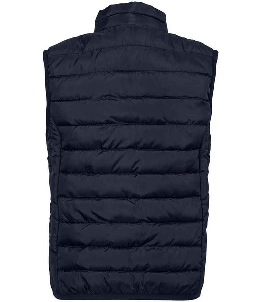 04446 French Navy Back