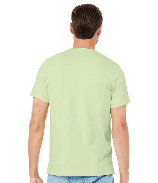 CV3001 Spring green Model