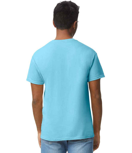 GD05 Sky Blue Model