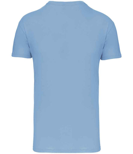 KB3025IC Sky Blue Back