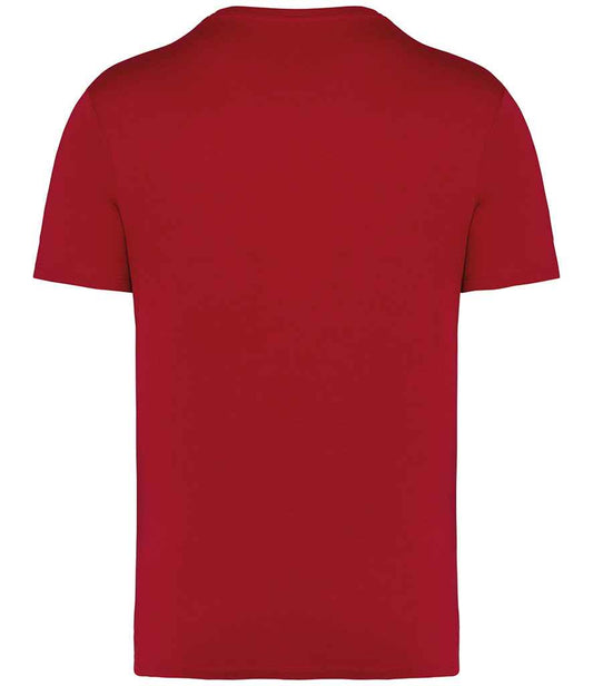 NS305 Hibiscus Red Back