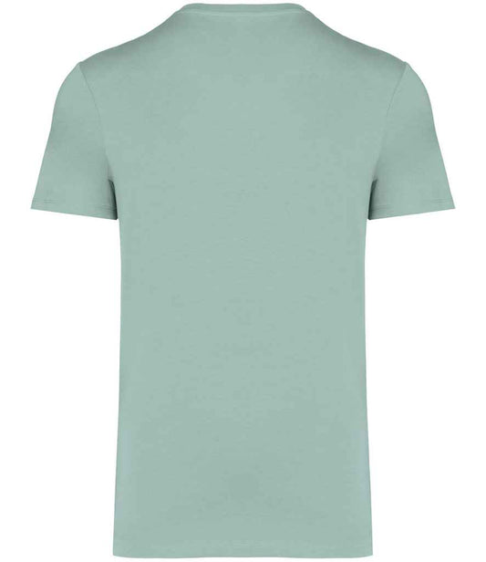 NS305 Jade Green Back
