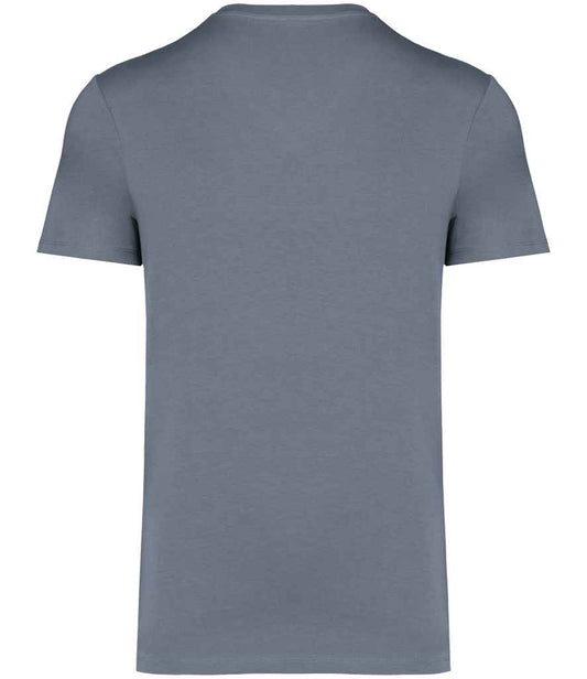 NS305 Mineral Grey Back