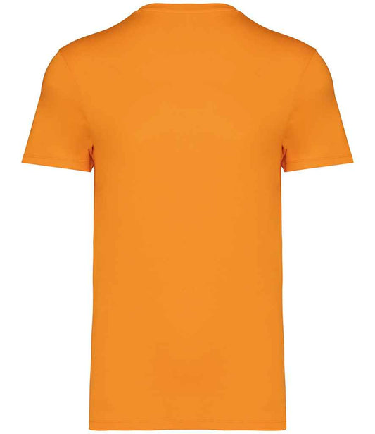 NS305 Tangerine Back