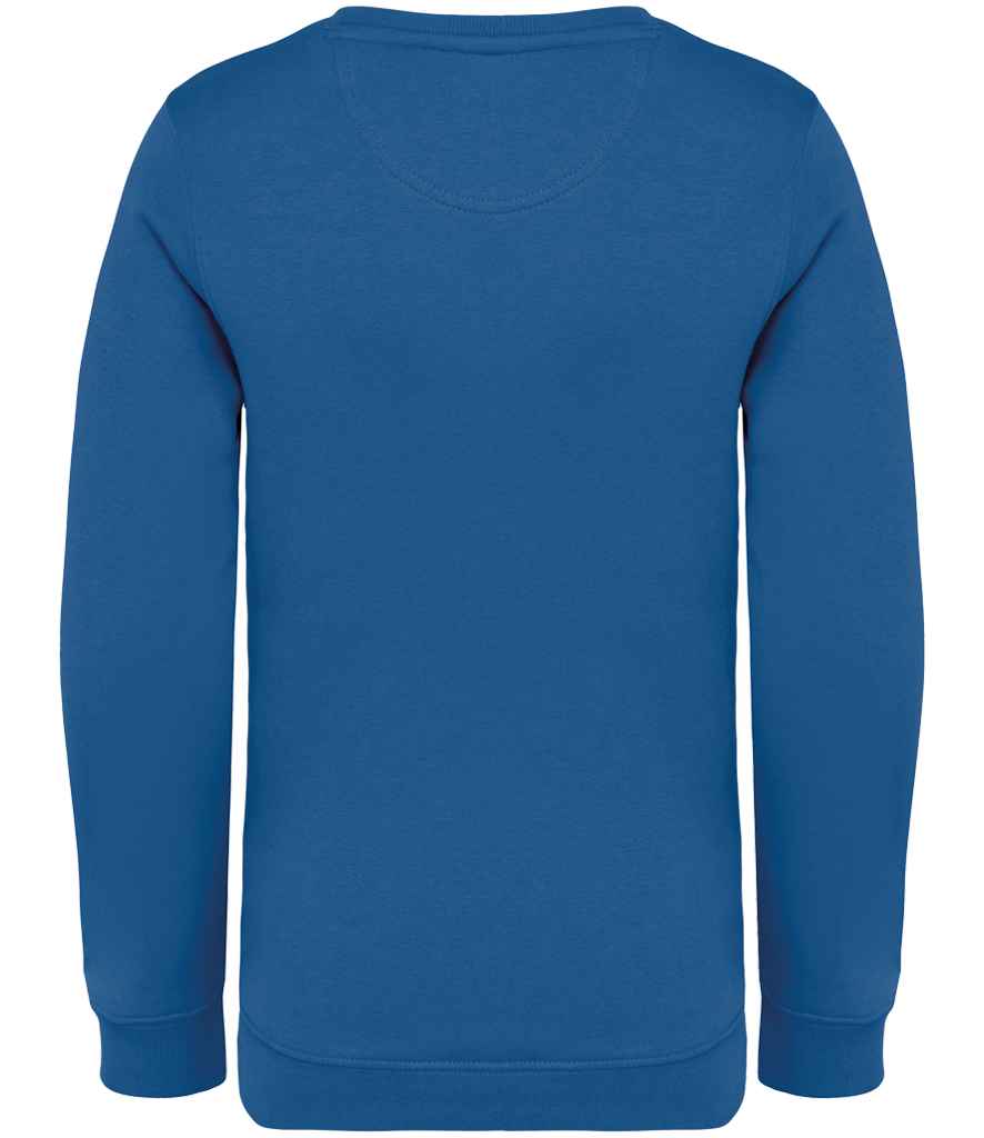 NS403 Sea Blue Back
