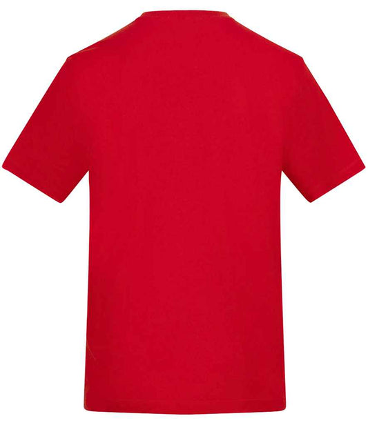 AT001 Fire Red Back