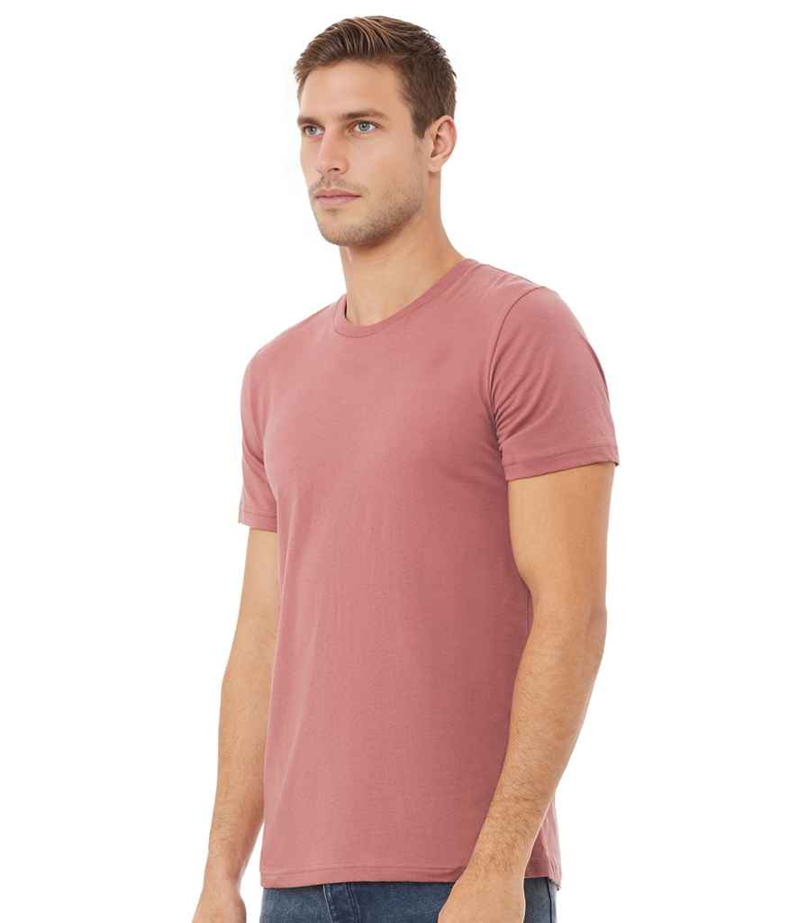 CV3001 Mauve Model
