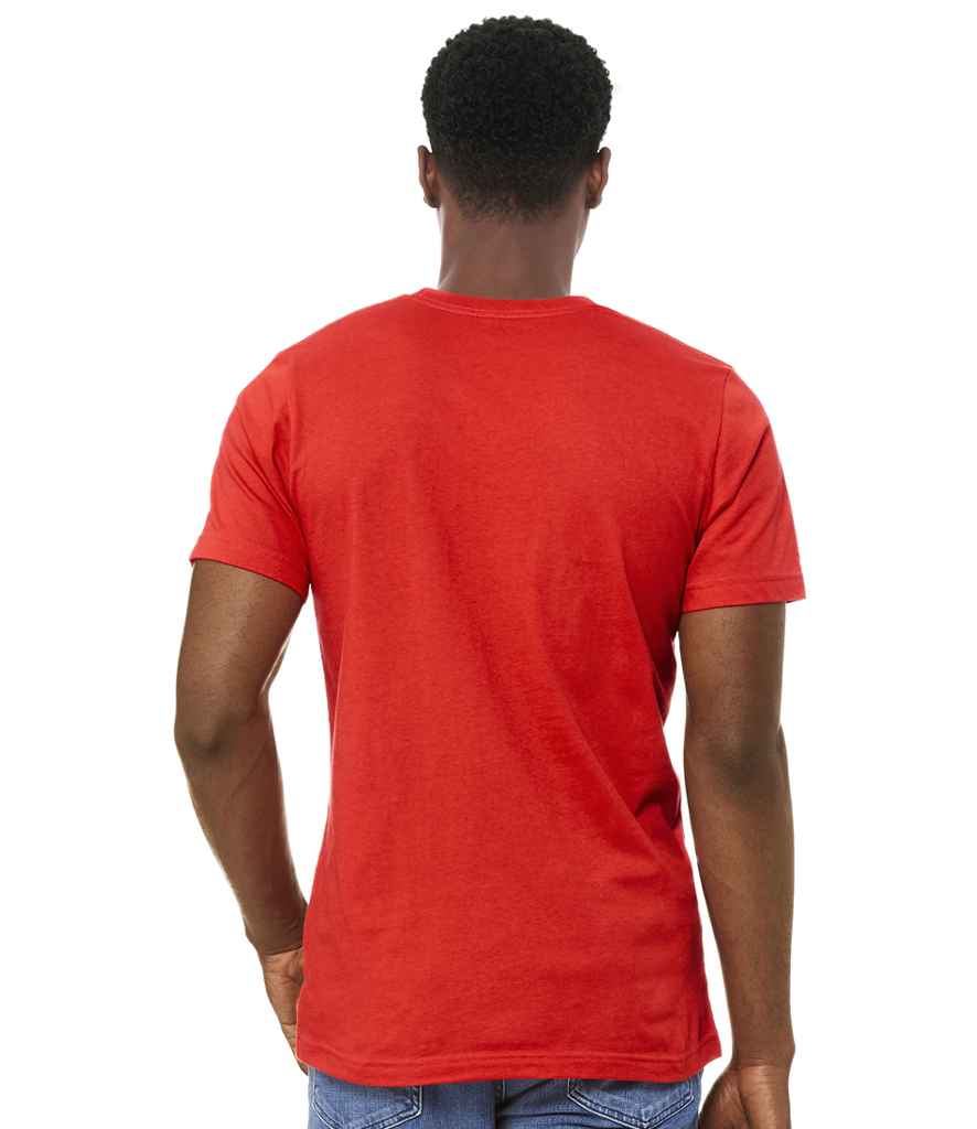 CV3001 Poppy Model