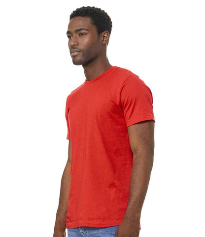 CV3001 Poppy Model