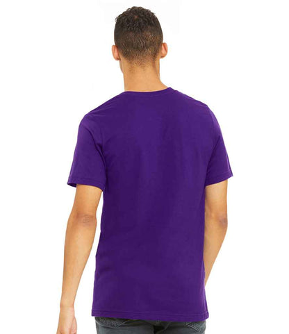 CV3001 Team Purple Model