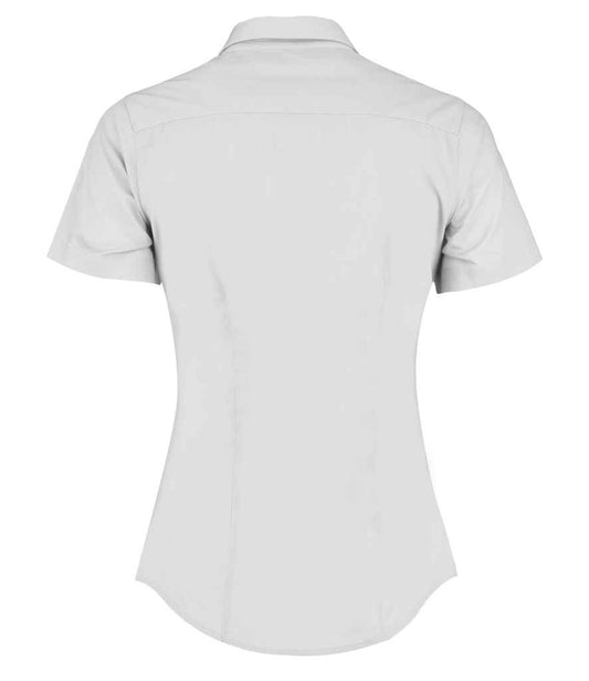 K241 White Back