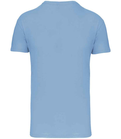 KB3025IC Sky Blue Back