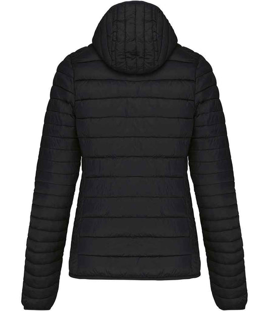 KB6111 Black Back