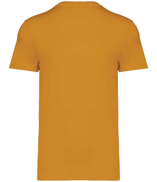 NS305 Curcuma Back