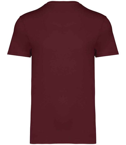 NS305 Dark Cherry Back