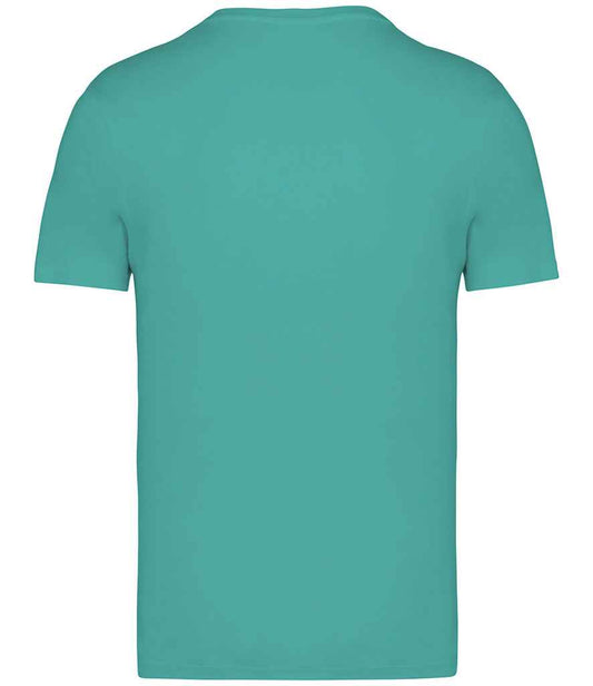 NS305 Gemstone Green Back