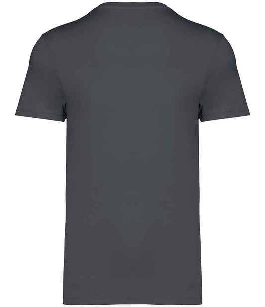 NS305 Iron Grey Back