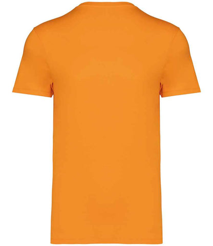 NS305 Tangerine Back