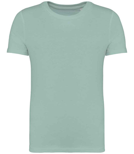NS307 Jade Green Front