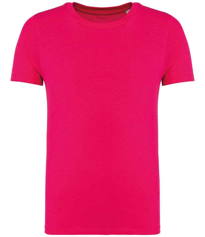 NS307 Raspberry Sorbet Front
