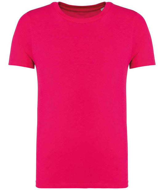 NS307 Raspberry Sorbet Front
