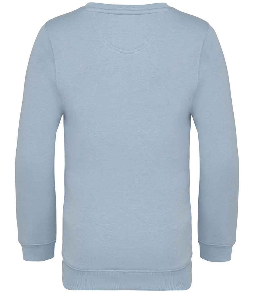 NS403 Aquamarine Back