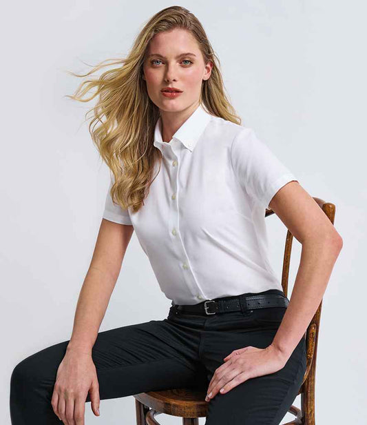 PR384 White Model