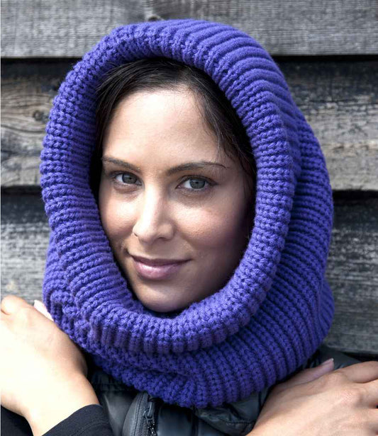 RC361 Purple Model