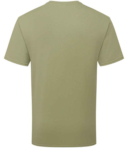 SS640 Classic Olive Back